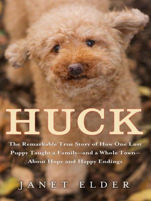 cover image of Huck